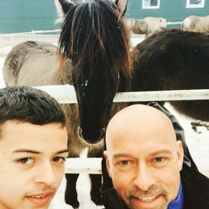 Icelandic horse selfies.