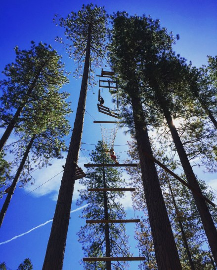 Lily and Kaelin attacking the Tower of Terror.